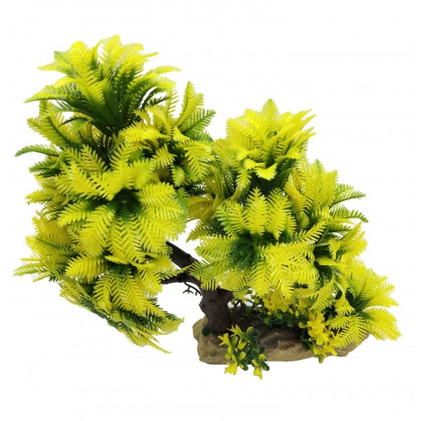 ΔΙΑΚΟΣΜΗΤΙΚΟ ΦΥΤΟ ΕΝΥΔΡΕΙΟΥ